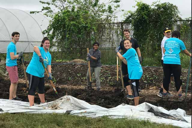 Student planting flowers